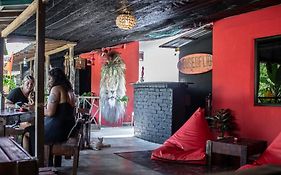 House Of Lion Hostel
